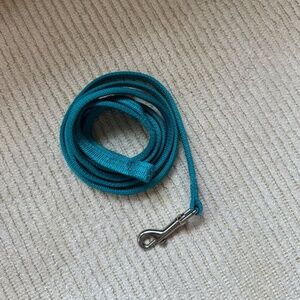 Teal Green/Blue Dog Leash